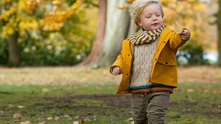 Autumn at Gunby Estate, Hall and Gardens